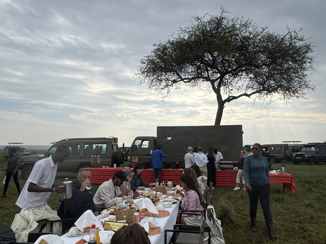 Hot Air Safaris-马赛马拉国家野生动物保护区必去景点