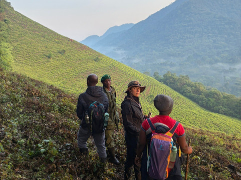 Allanblackia safaris-恩德培必去景点