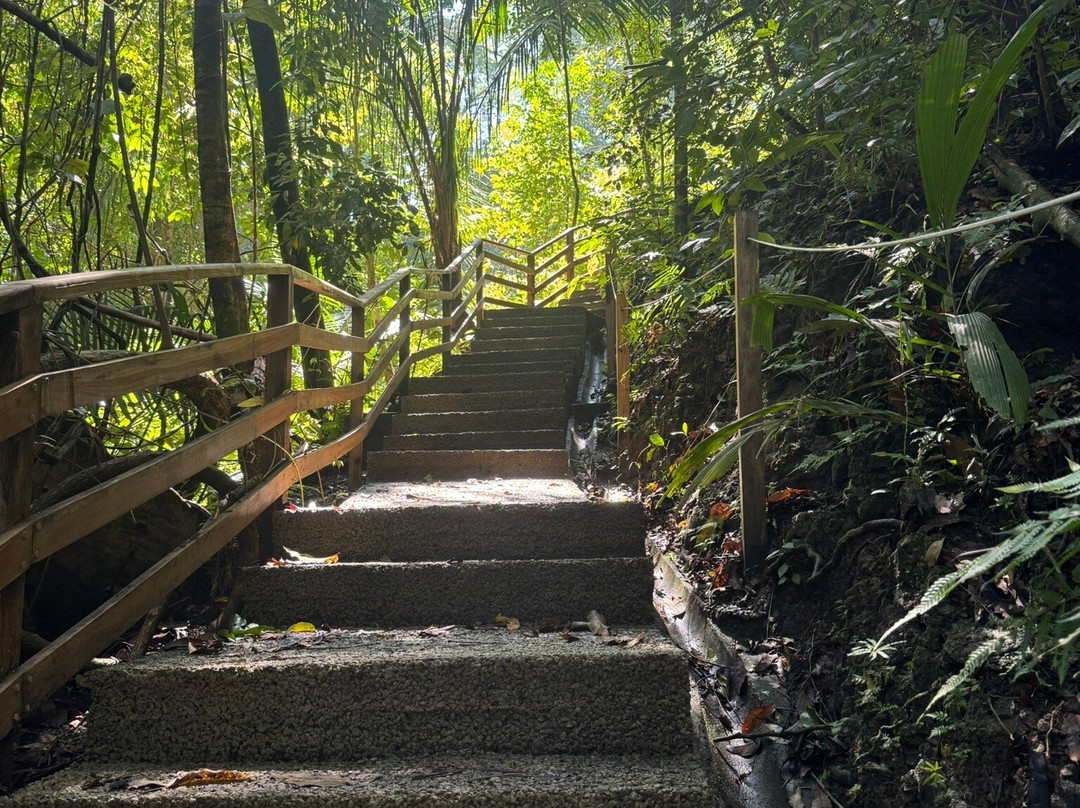 Parque Nacional Manuel Antonio-哥斯达黎加安东尼奥国家公园必去景点