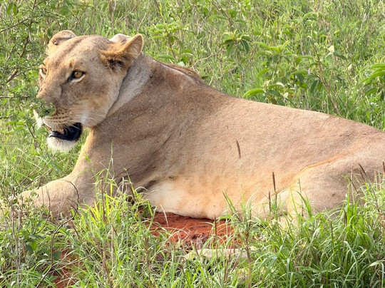 In Kenya Con Paulo-瓦塔木必去景点