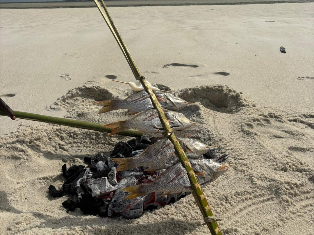 Mafia Whale Shark Tours-Kilindoni必去景点