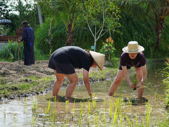 Bali Agritours-阿比安塞马尔必去景点