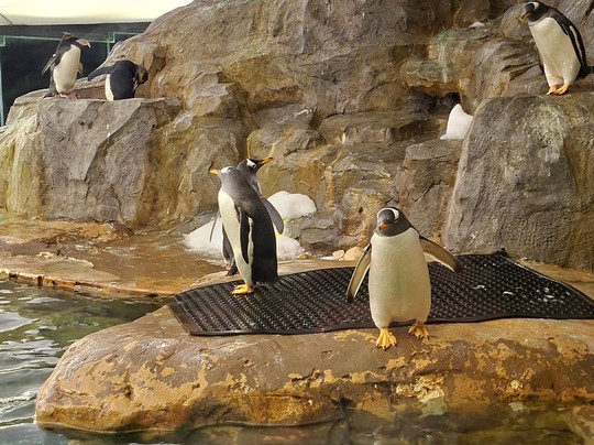 Selwo Marina-班纳玛德纳必去景点