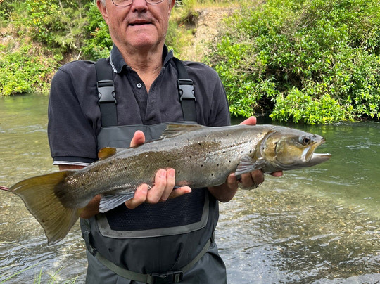 Central Plateau Fishing-陶波必去景点