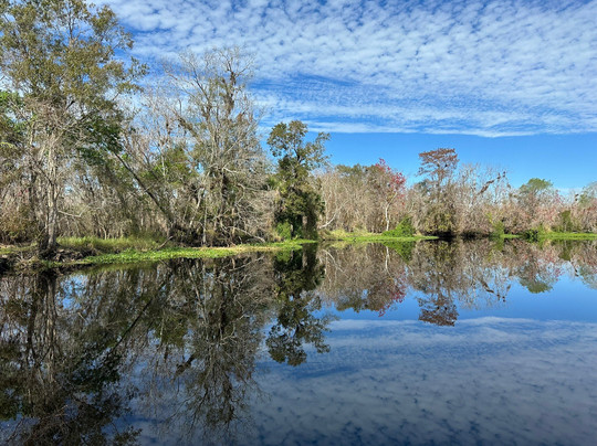 St. John's River Eco Tours, LLC-DeBary必去景点