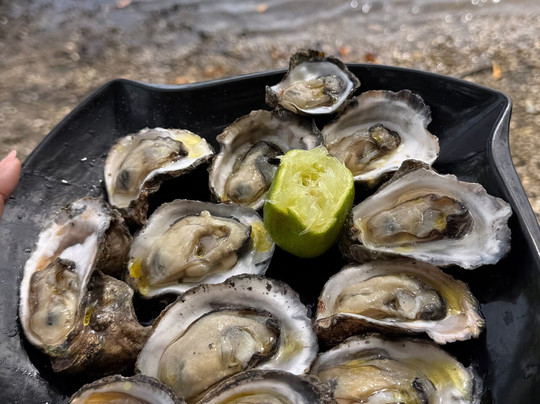 Aventura Eco Brasil-Barra de Sao Miguel必去景点
