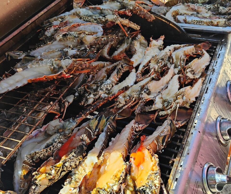 Franconero Escursioni-Bayahibe必去景点