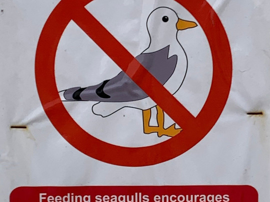 Felixstowe Pier-费力克斯托必去景点