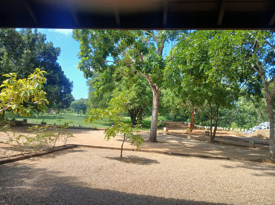 Koragaha Lodge - Sri Lanka主图