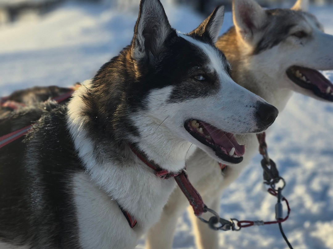 Fjallaventyr-Salen必去景点