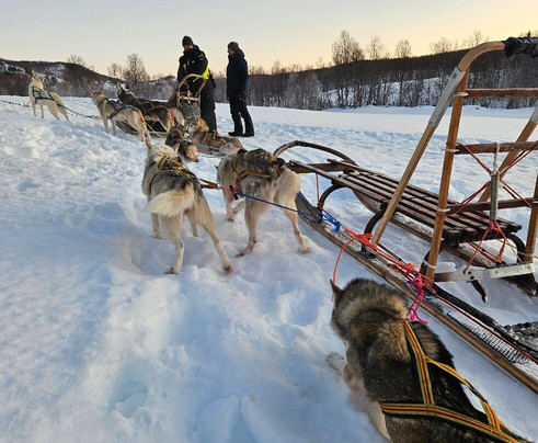 Senja Husky Adventure-Senja必去景点