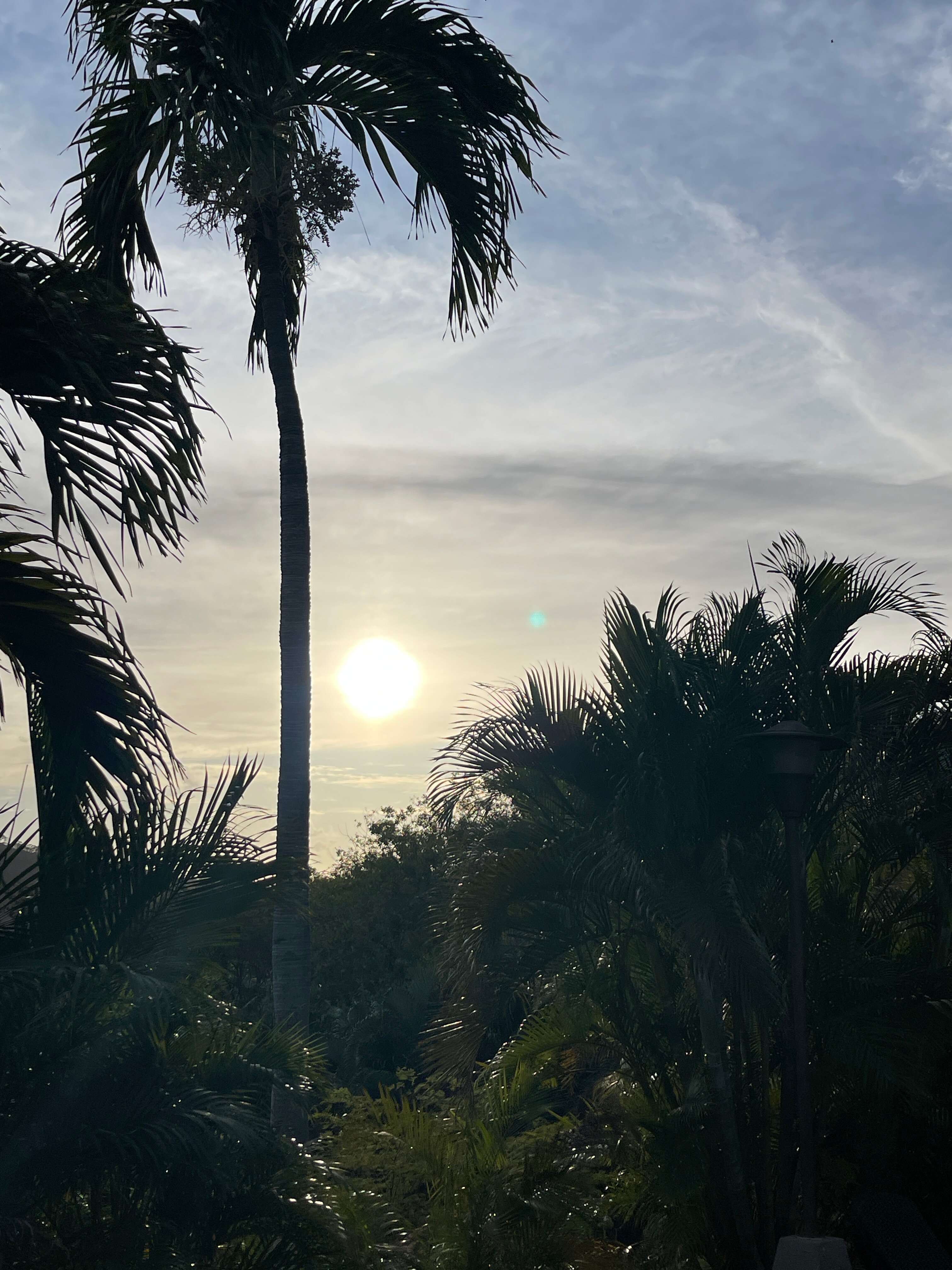 Villas Sol Beach Resort-官方