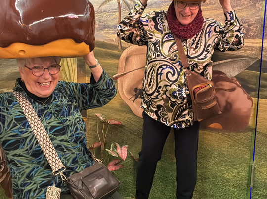 Bossche Bollen Belevenis-斯海尔托亨博斯必去景点