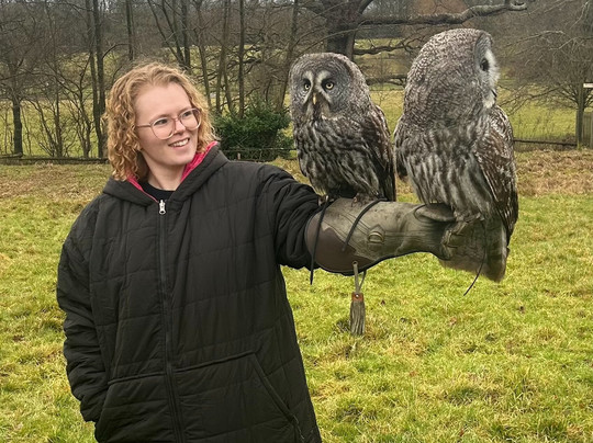 UK Owl And Raptor Centre-Groombridge必去景点