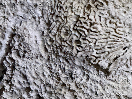 Cayman Crystal Caves-大开曼岛必去景点