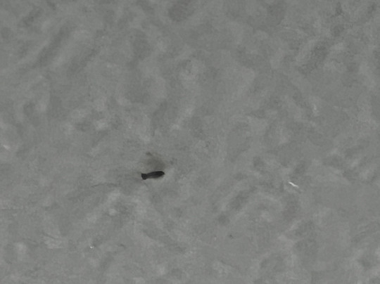 Extended Stay America Select Suites - Kalamazoo - West主图