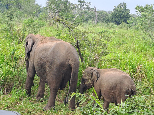 Hiriwadunna Village & Jeep Safari No 4-Hiriwadunna必去景点