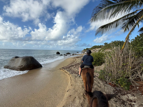 Esperanza Riding Company-维切克岛必去景点