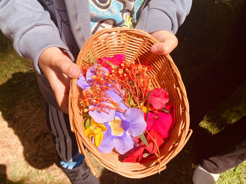 Valentim Iogurteria Artesanal-多明戈斯-马丁斯必去景点