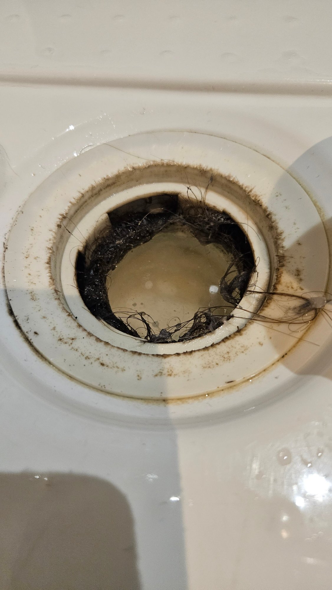 Hadley Park House Hotel-客卧