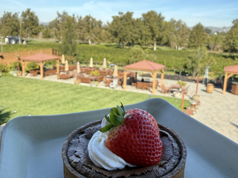 Murrieta's Well Winery-利佛摩必去景点