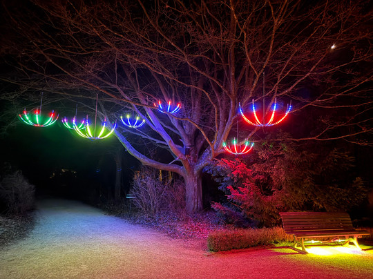 Bad Pyrmont Kurpark-Bad Pyrmont必去景点