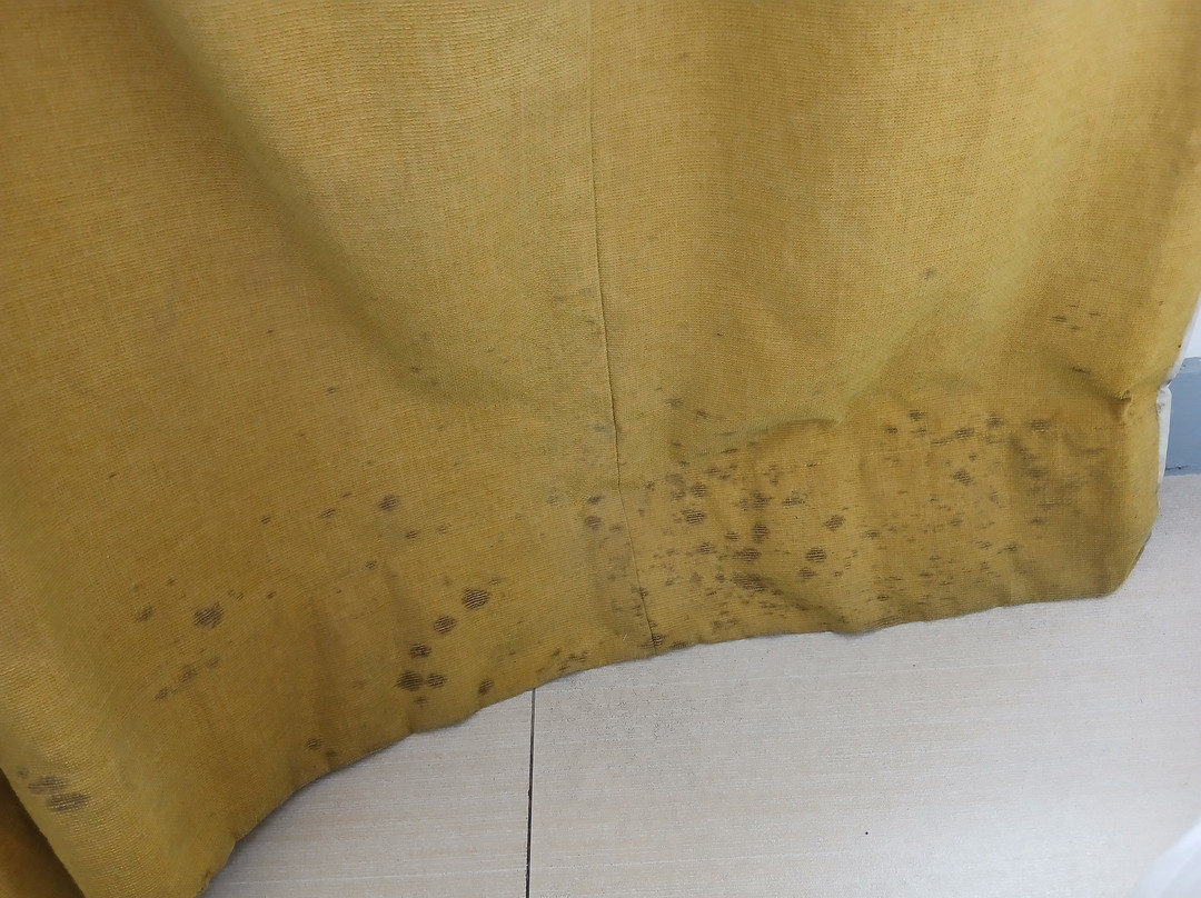 Go Hotels Manila Airport Road主图