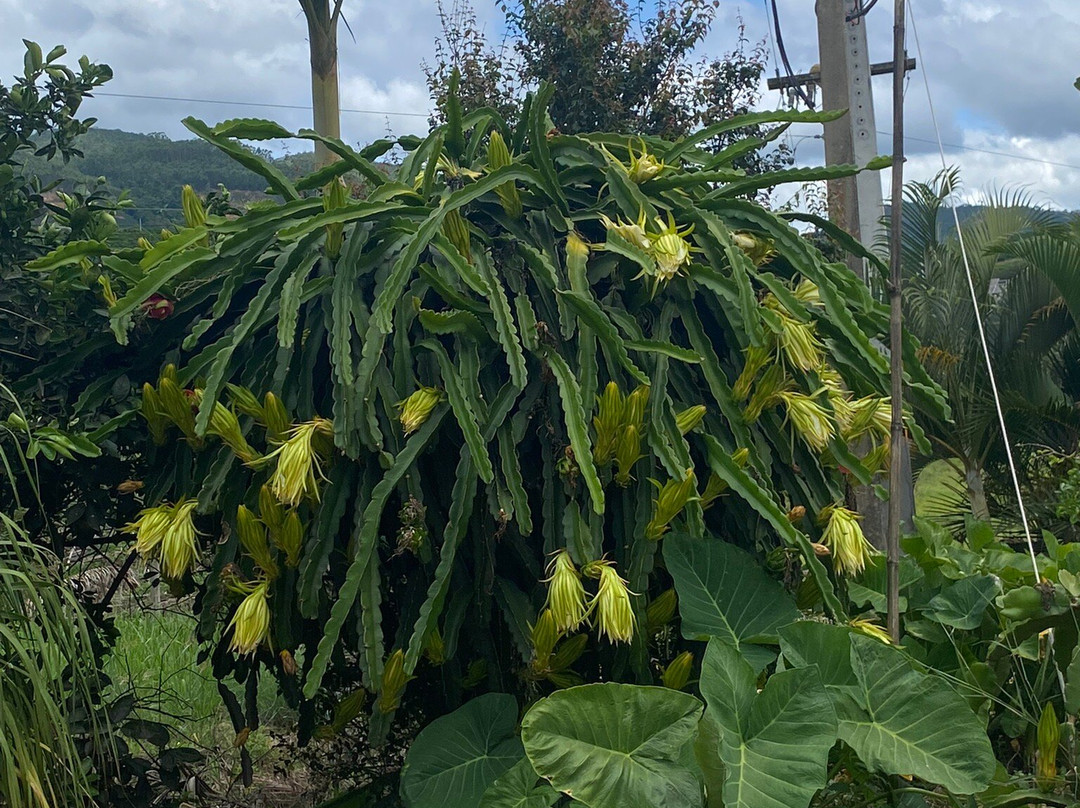 Vinicola Ziviani-Santa Teresa必去景点