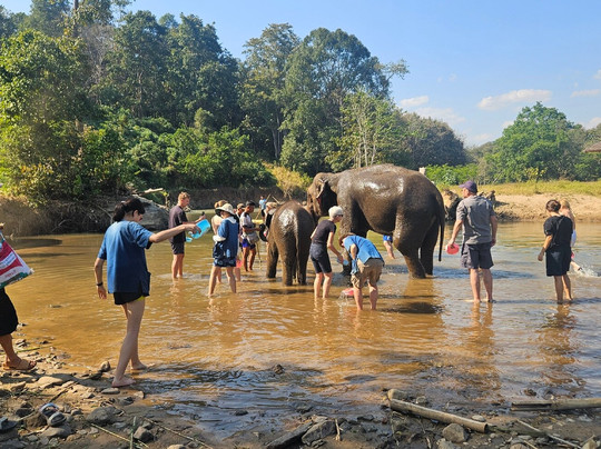 Living Green Elephant Sanctuary-清迈必去景点