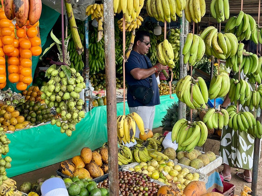 Sri Lanka Tour with Sujeewa-Kandana必去景点