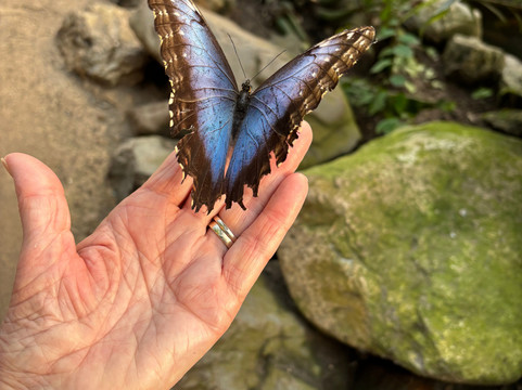 Plantropica-Luttelgeest必去景点