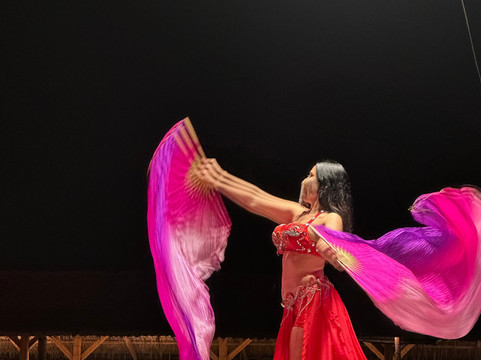 Eagle Tours Dubai-迪拜必去景点