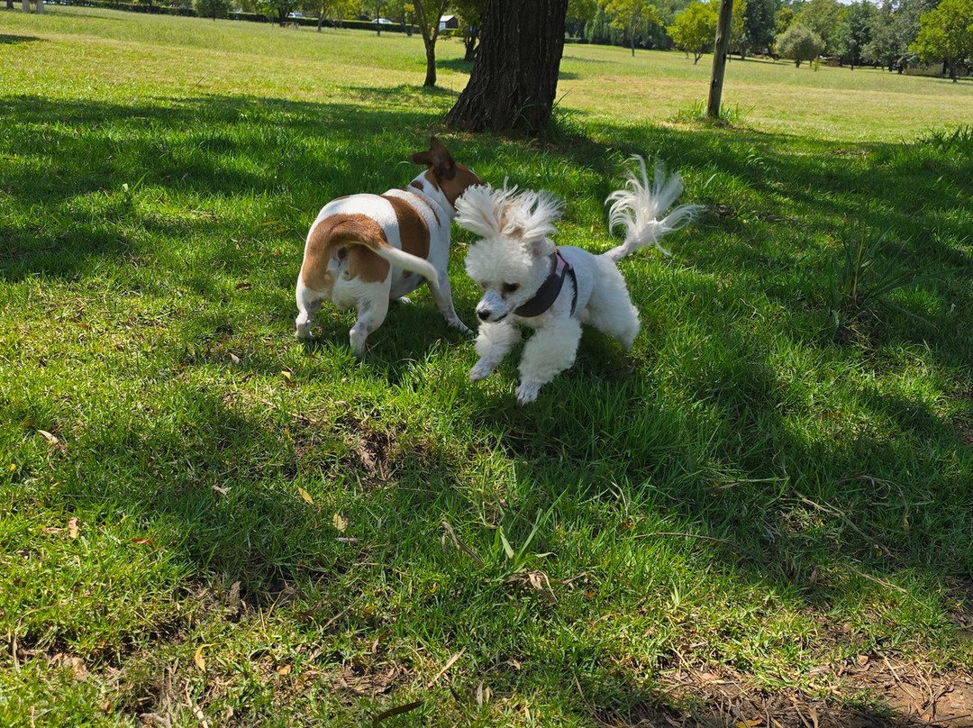 Walkhaven Dog Park-约翰内斯堡必去景点