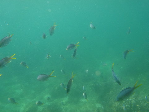 Sandy Beach-富查伊拉必去景点