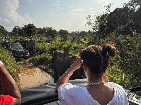 Sri Lanka Driver Guide Aruna-科伦坡必去景点