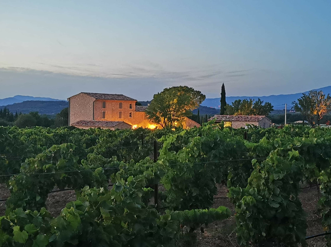 Domaine Du Chat Blanc-Saint-Didier必去景点