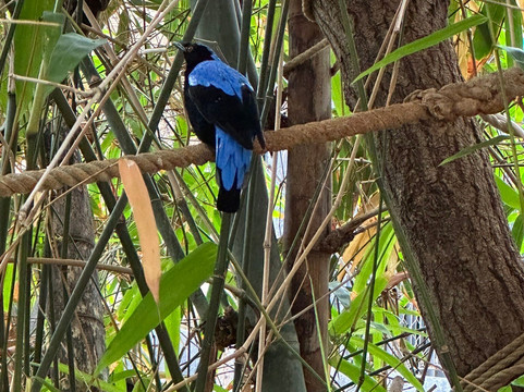 Marwell Zoo-温彻斯特必去景点