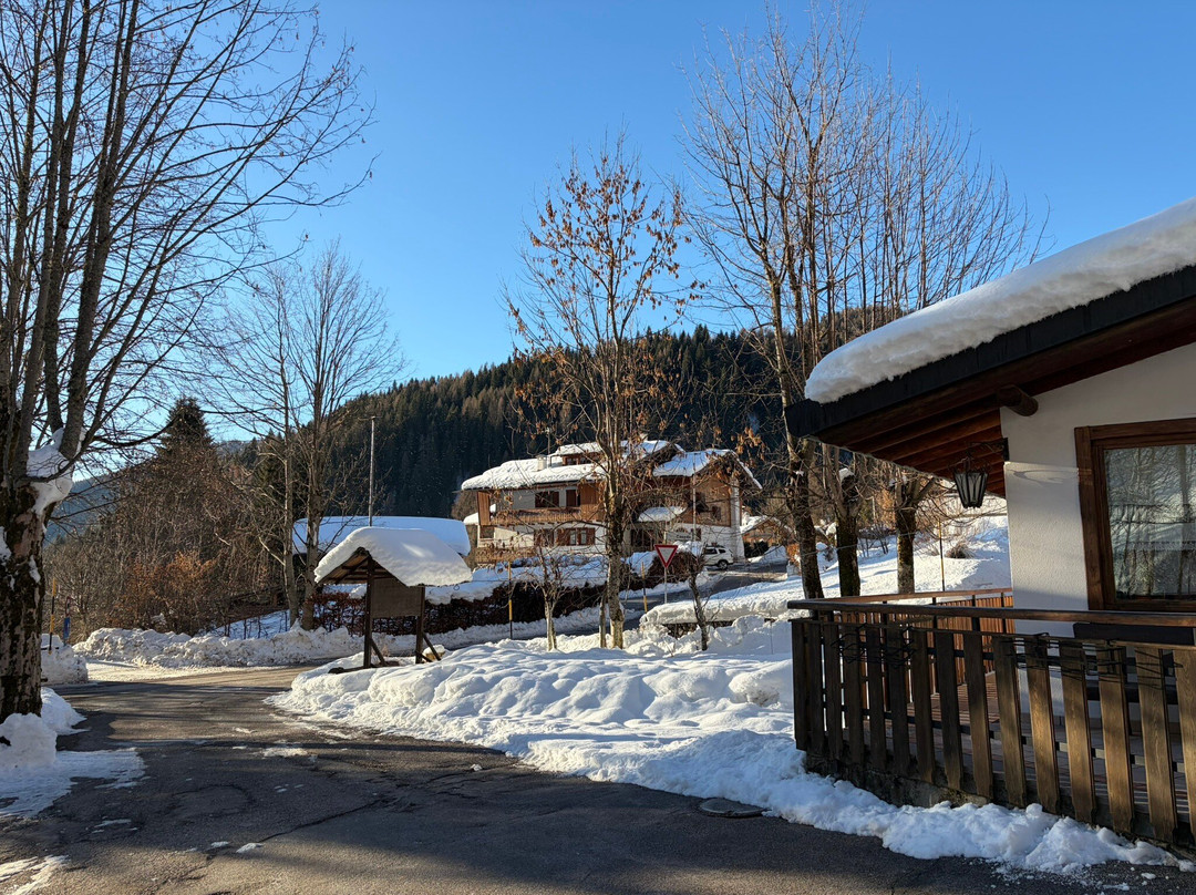 Hotel Bosco Verde主图