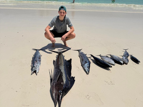 Bedier & Sons Excursions-安斯艾尔伯特必去景点