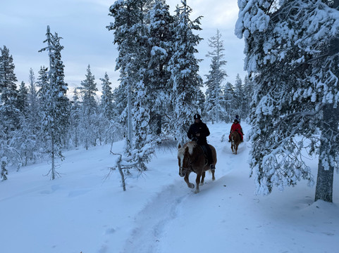 Polaris Point Horses-撒利塞卡必去景点