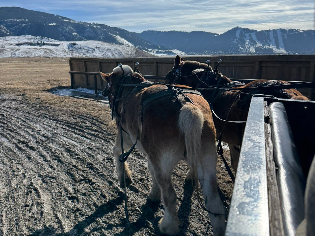 国家麋鹿保护区-杰克逊必去景点