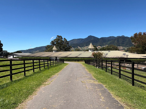 Volcan Ecotours-渥肯必去景点