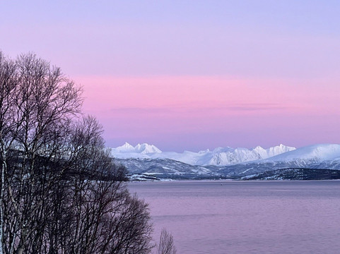 Kvaløya Husky-特罗姆瑟必去景点