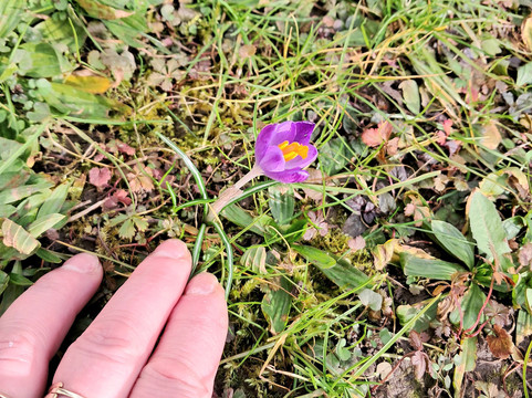 Nature Reserve Eselschwanz-圣马格雷滕必去景点