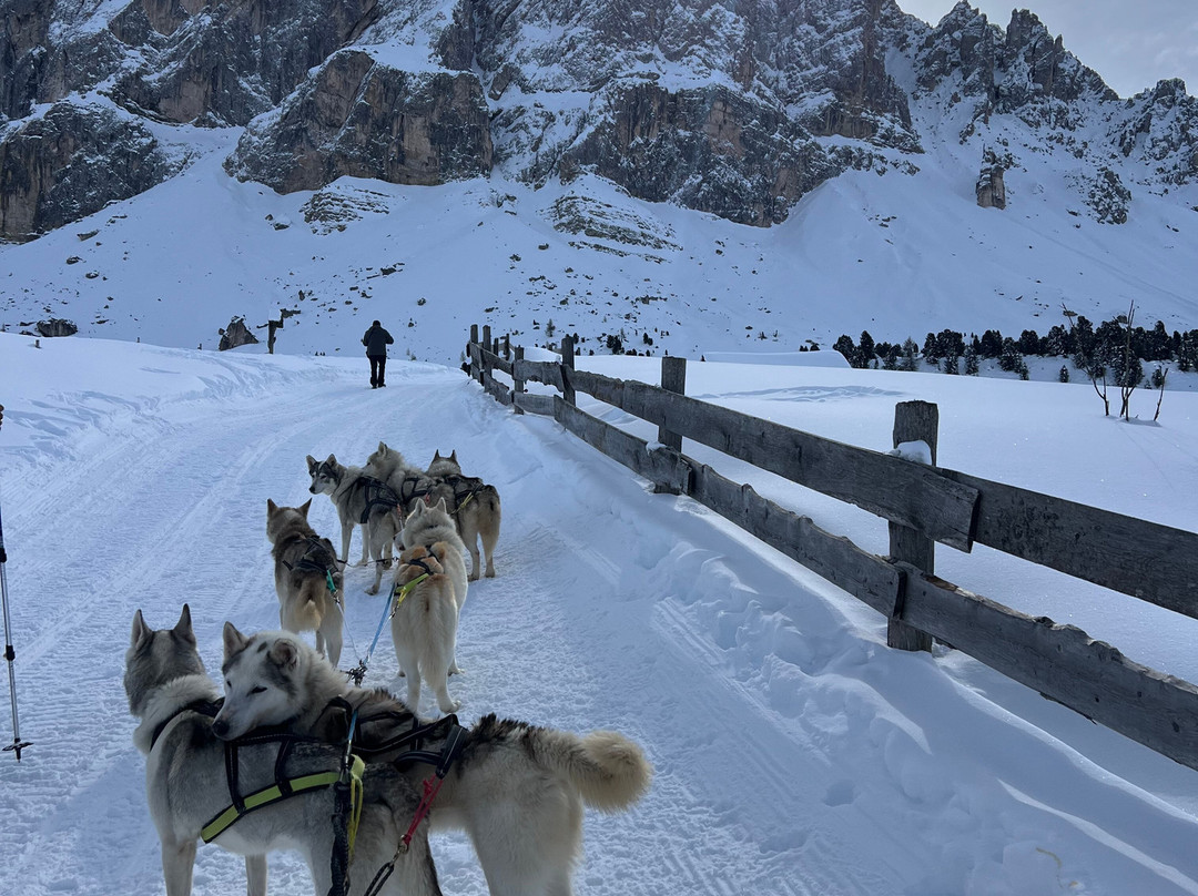 Huskysleddog-San Martino in Badia必去景点