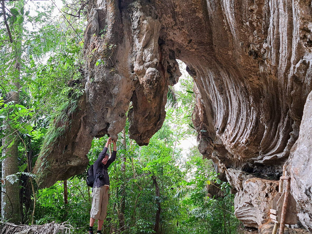 Salto del Caburní-特立尼达必去景点