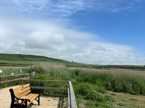 Abbotsbury Swannery-Abbotsbury必去景点