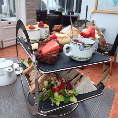 狗与鹧鸪酒店-官方