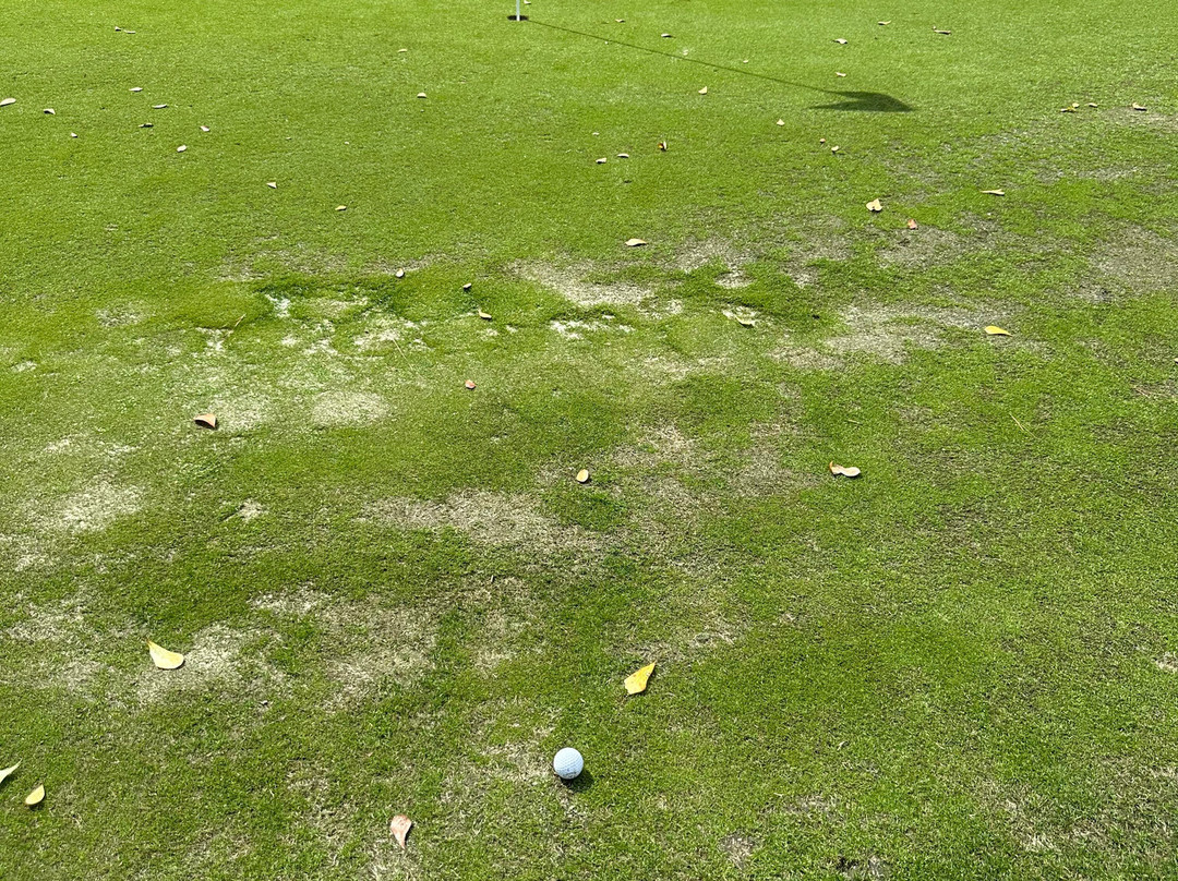 Henderson Golf Club-萨凡纳必去景点