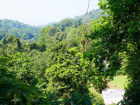 Situgunung Susppension Bridge-苏加武眉必去景点